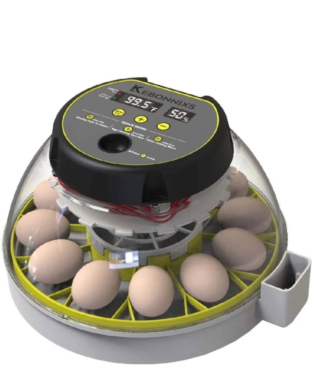 Parrot incubator for breeding